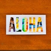 ϥ磻 HDM ALOHA/ Photo ƥå3