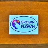 �ϥ磻 HIC GROWN NOT FLOWN ���ƥå���