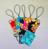 Nani island/�ʥ� �������� �饲�å�����