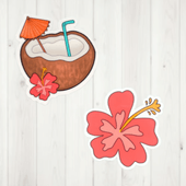 �ϥ磻�������ʥåġߥϥ��ӥ����� ���ƥå��� 2�祻�å�