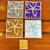 �ϥ磻 �ץ��ꥢ HAWAII ���ƥå���