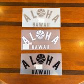 �ϥ磻 HIC ALOHA ARCH HAWAII �����ϥ��ƥå���