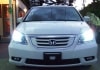 08���� ���ǥå��� COLLECTOR HID �إåɥ饤�� 6000K ���ѥ�졼�ա�