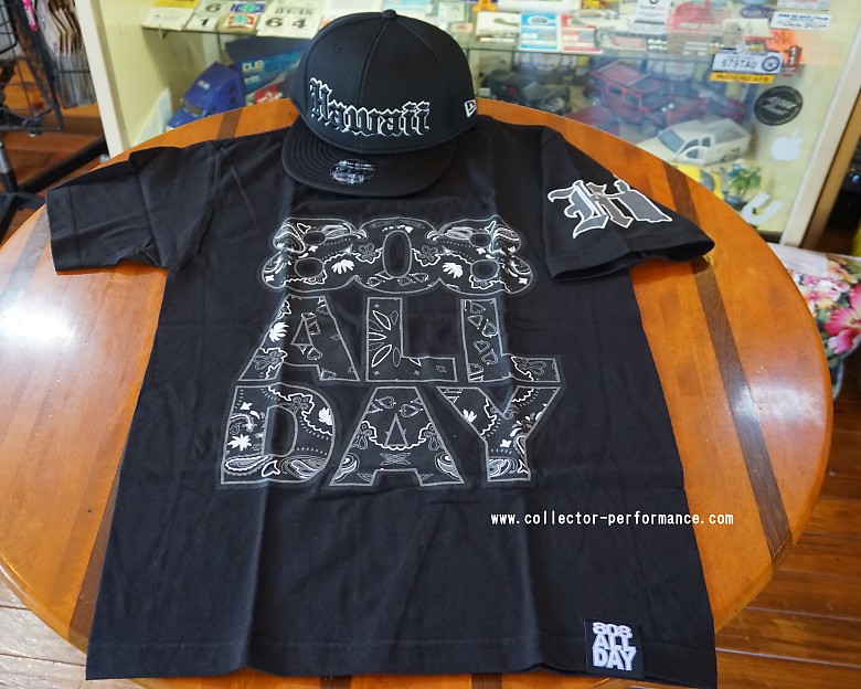 �ϥ磻 �ޥ��� 808ALLDAY �Х������ �ԥ����
