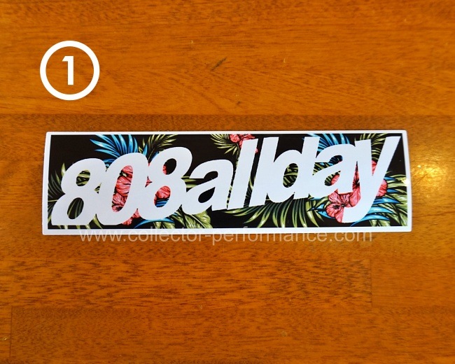 �ϥ磻 808ALLDAY Island/�������� �Х�ѡ����ƥå���