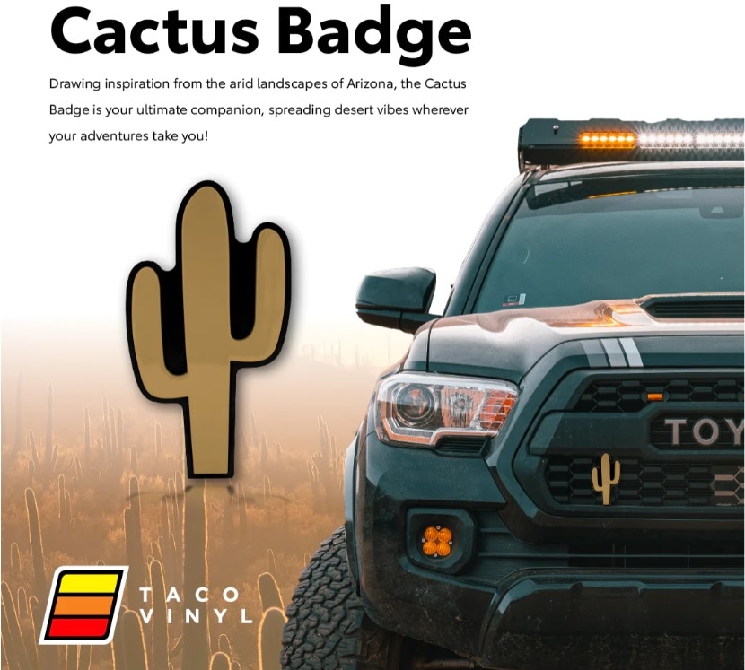 (�����б���) TACO VINYL/�����ӥˡ��� CACTUS���������� ���ܥƥ� �����Хå� ��������