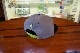 �ϥ磻 �ޥ��� Maui Exclusive Fitted Hawaii x NEW ERA Slapswind �˥塼���� ����� ���ʥåץХå� ����å�