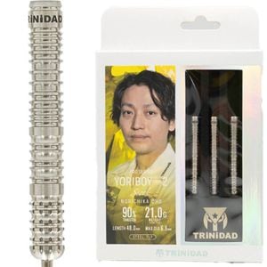 マイダーツTARGET LIMITED EDITION 【美品安値】 ゴールド