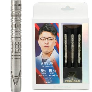 【トリニダード】ANSON アンソン 2BA19.5g アン・シェン・ルー選手 ダーツ バレル|TRiNiDAD (トリニダード)|ソフトダーツ