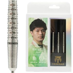 ハードダーツ セット エレノア ニュートン ハードダーツ セット エレノア ニュートン ハードダーツ セット