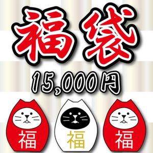 数量限定 大当たり 福袋 メンズ 44000円 2026年ハードダーツ福袋15,000円 （定価総額40,000円以上の商品が入っ