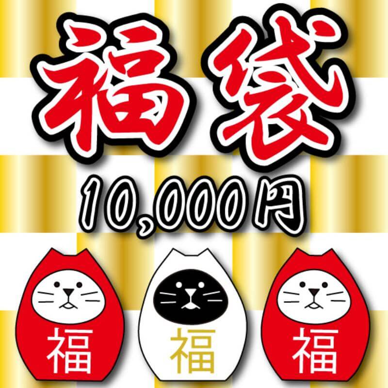 2026年ダーツ福袋10,000円 （定価総額26,500円以上の商品が入っています）