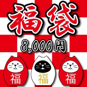 2026年ダーツ福袋10,000円 （定価総額26,500円以上の商品が入っています）