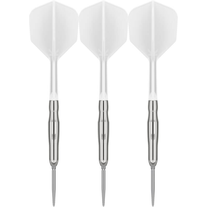 ターゲット CRUX JPN BRAVE ブレイヴ スイスポイント スティール21g