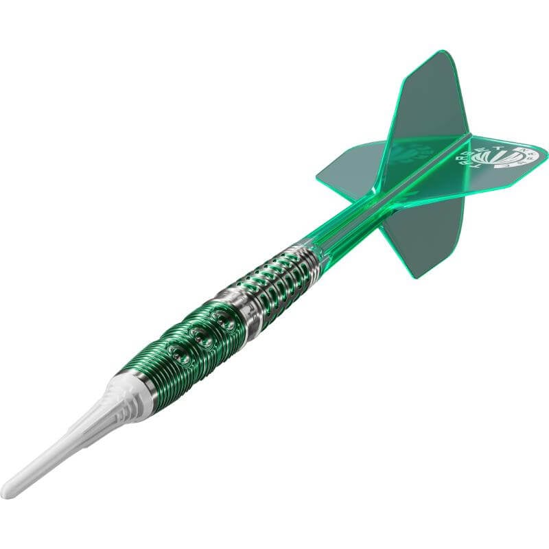 ターゲット 酒井素選手 ゼノ TARGET XENO 2BA19.0g ダーツ バレル