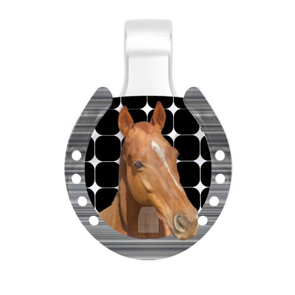 ��PICPIN �ԥå��ԥ�ۥ�å����ۡ��� �֥饦��ۡ���L �ޥ������㡼�� ���������꡼