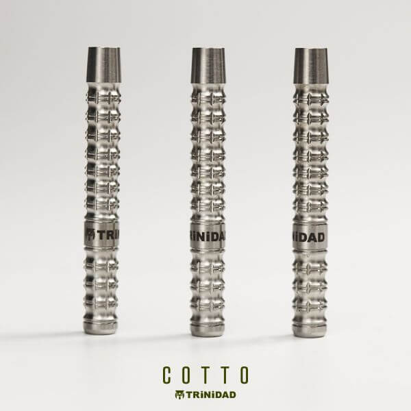 正津貴之 TRINIDADトリニダード COTTOコット 19g定価11000円 トリニダード COTTO コット 2BA19g 正津貴之選手 ダーツ バレル