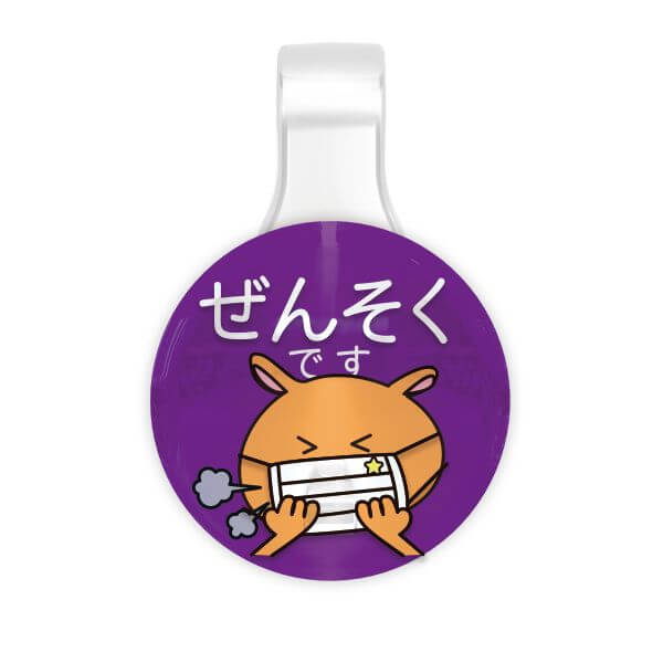 PICPIN ԥåԥ륷꡼ ©ǤB-R ޥ㡼 ꡼