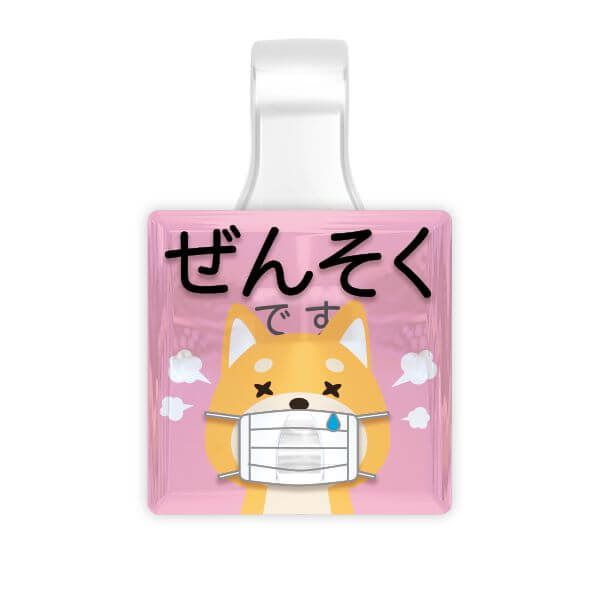 PICPIN ԥåԥ륷꡼ ©ǤC-R ޥ㡼 ꡼