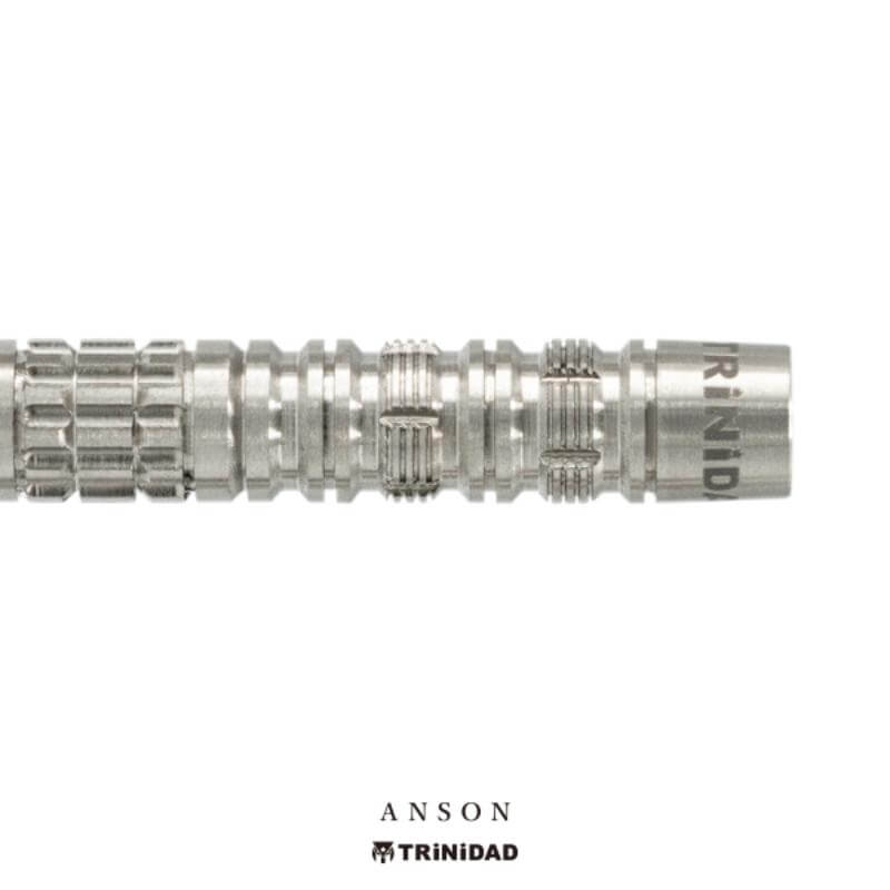 トリニダード　ダーツ　アンソン トリニダード ANSON アンソン 2BA19.5g アン・シェン・ルー選手 ダーツ