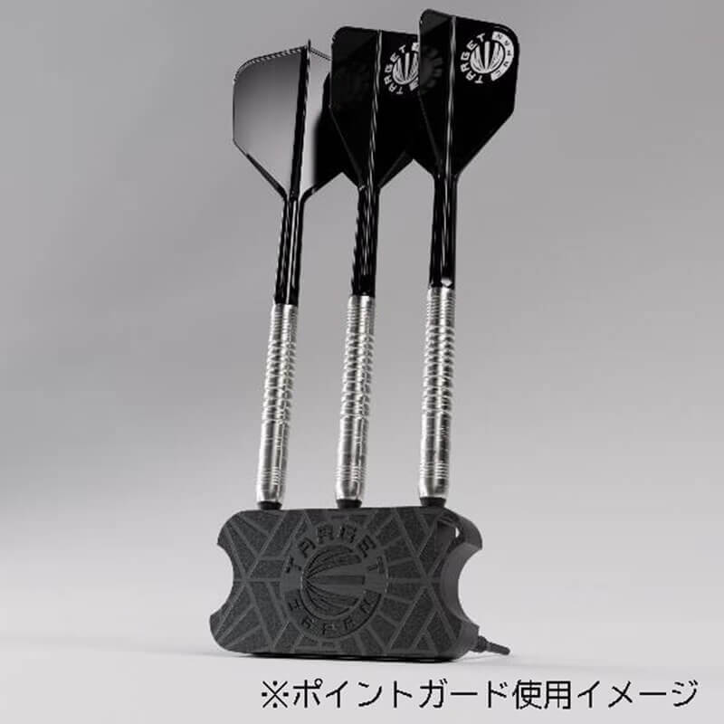 ほぼ新品 Beau Greaves Japan Edition スティール23g ターゲット Beau Greaves Japan Edition スイスポイント スティール23g