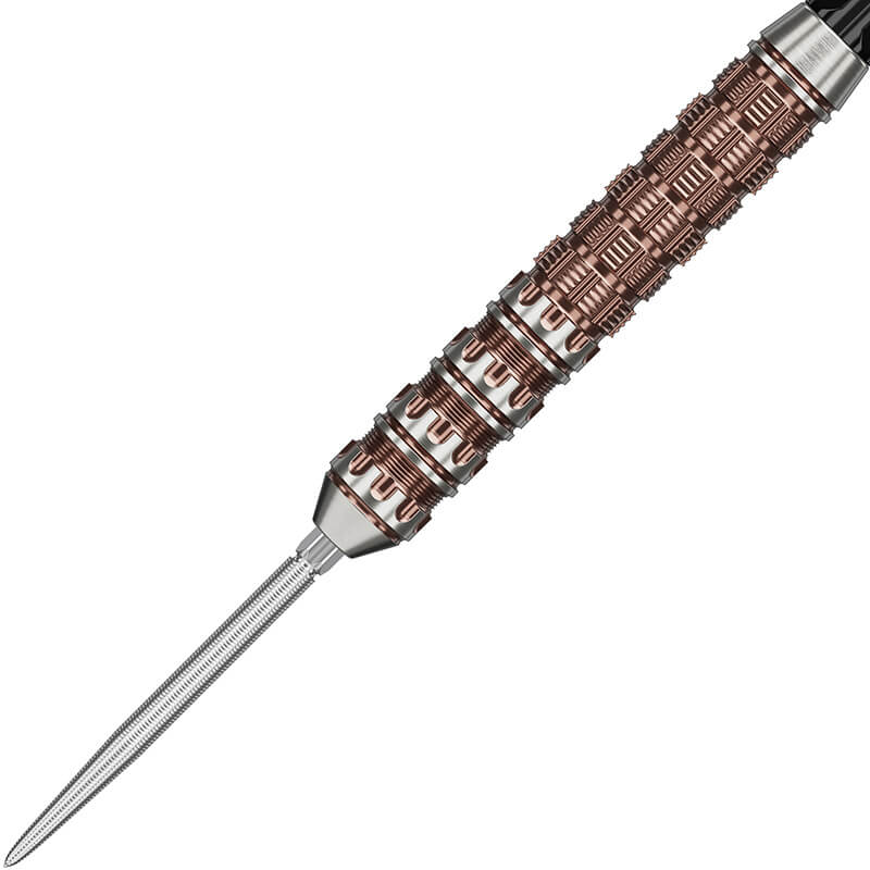 ターゲット RAPTOR G6 ラプター6 スイスポイント スティール22g 西谷