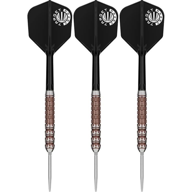 ターゲット RAPTOR G6 ラプター6 スイスポイント スティール22g 西谷