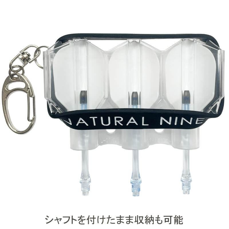 �ʥ�����ʥ��� ���ꥹ���� ���� ����ǡ������ �ե饤�ȥ�����