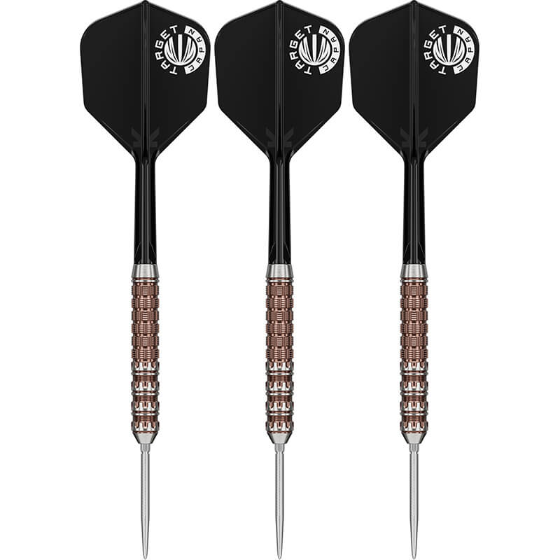 ターゲット RAPTOR G6 ラプター6 スイスポイント スティール24g 西谷