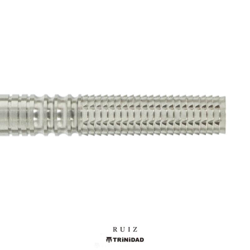 トリニダード RUIZ ルイス 2BA21.5g デイヴィット・ルイス選手 ダーツ