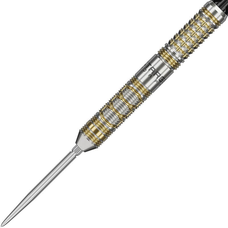 ターゲット REYN G2 レン2 スイスポイント スティール21g レン