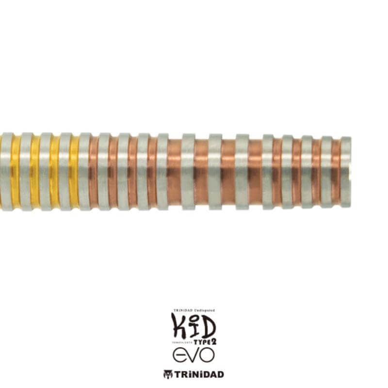 トリニダード KID TYPE2 EVO キッド2 エヴォ 2BA22.5g 後藤智弥選手