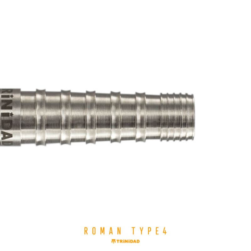 �ڥȥ�˥����ɡ�Roman Type4 �����ޥ�4 2BA19g ���Ƽ�ͳ���� ������ �Х��