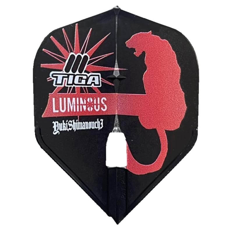 TIGA ƥۥե饤 ͥ2024 ߥå   ե饤