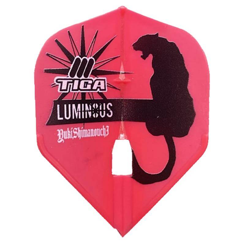 TIGA ƥۥե饤 ͥ2024 ߥå   ե饤