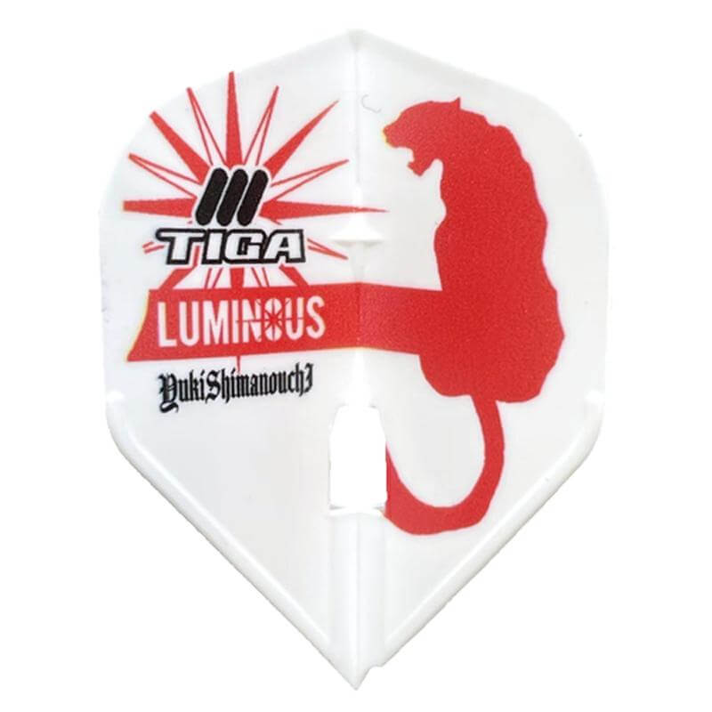 TIGA ƥۥե饤 ͥ2024 ߥå   ե饤