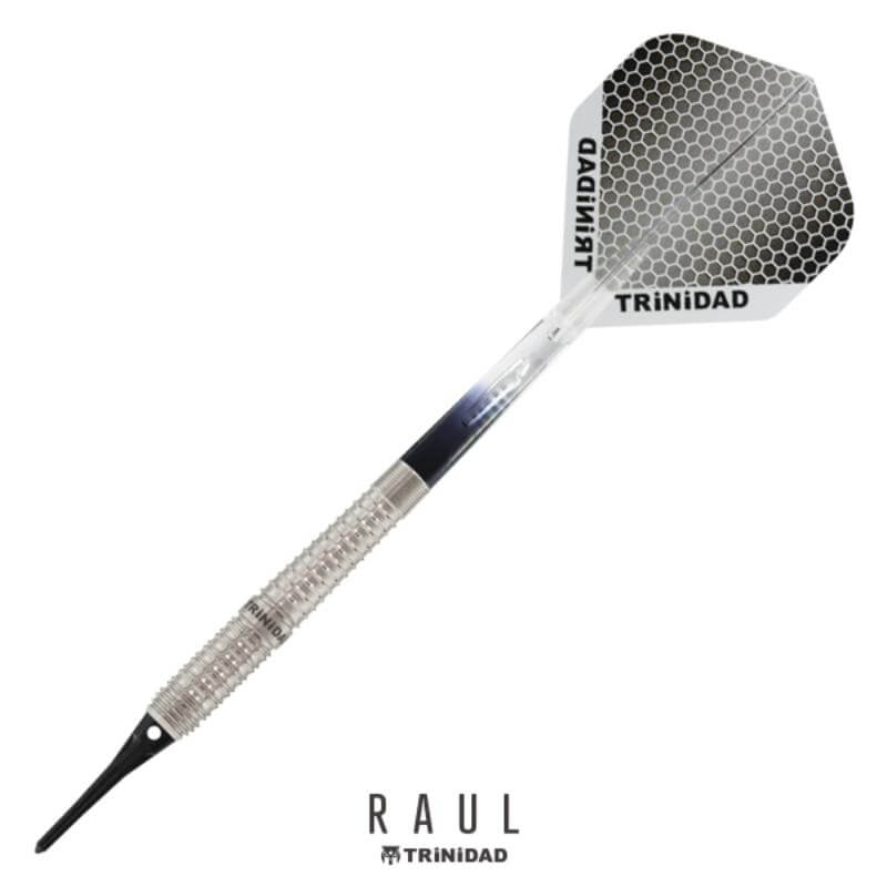 トリニダード 松本康寿選手 ラウル TRiNiDAD RAUL ダーツ バレル 2BA21.5g