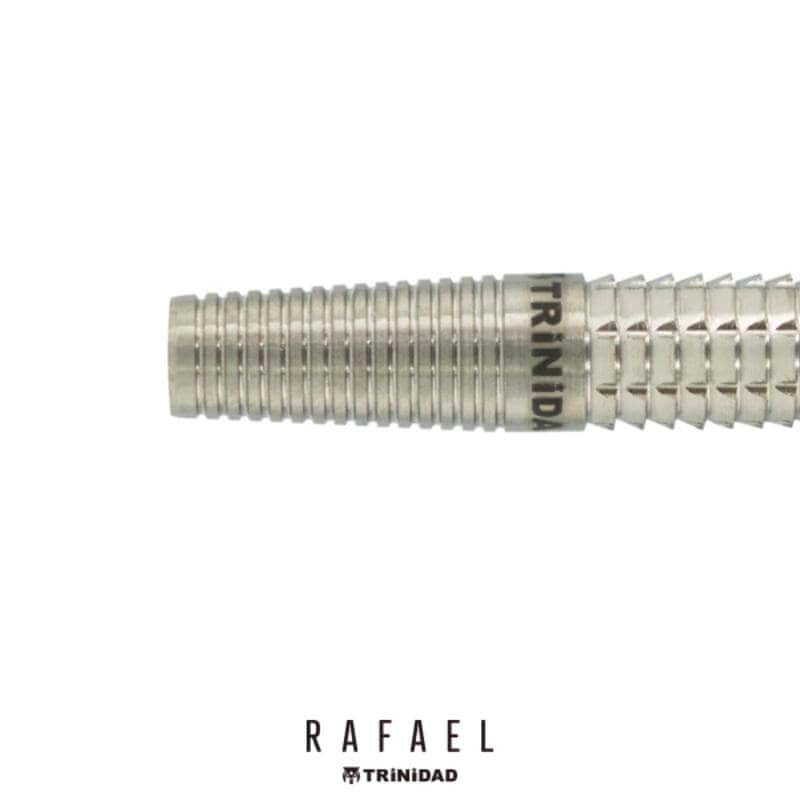 トリニダード RAFAEL ラファエル 2BA19.5g 小_心選手 ダーツ バレル