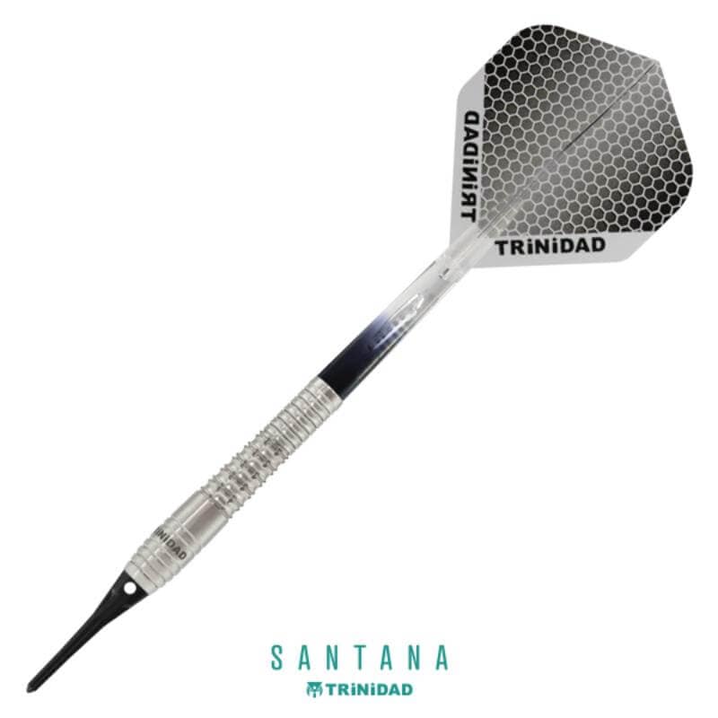 TRINIDAD SANTANA ダーツ 19g 42mm　大久保 李佳選手 トリニダード 大久保李佳選手 サンタナ TRiNiDAD SANTANA ダーツ