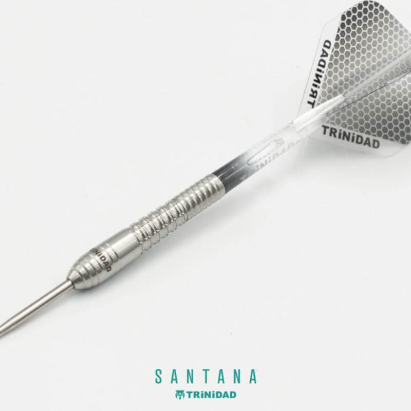 TRINIDAD SANTANA ダーツ 19g 42mm　大久保 李佳選手 トリニダード 大久保李佳選手 サンタナ TRiNiDAD SANTANA ハードダーツ
