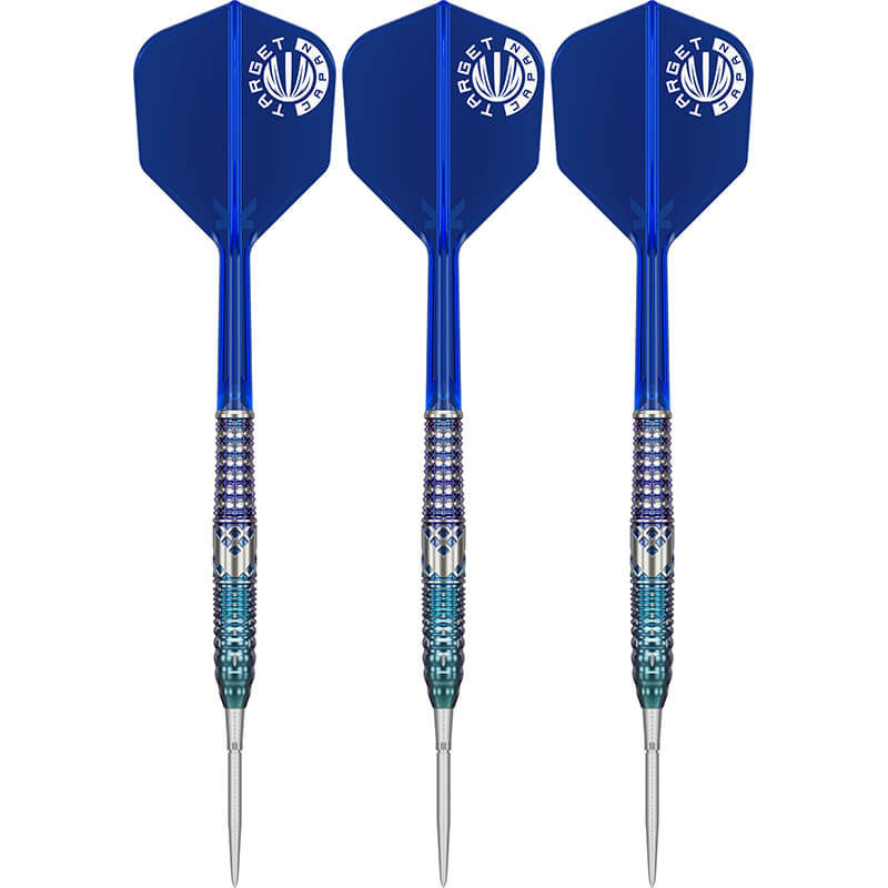 ターゲット CHARIS G5 カリス5 スイスポイント スティール22g キャシー