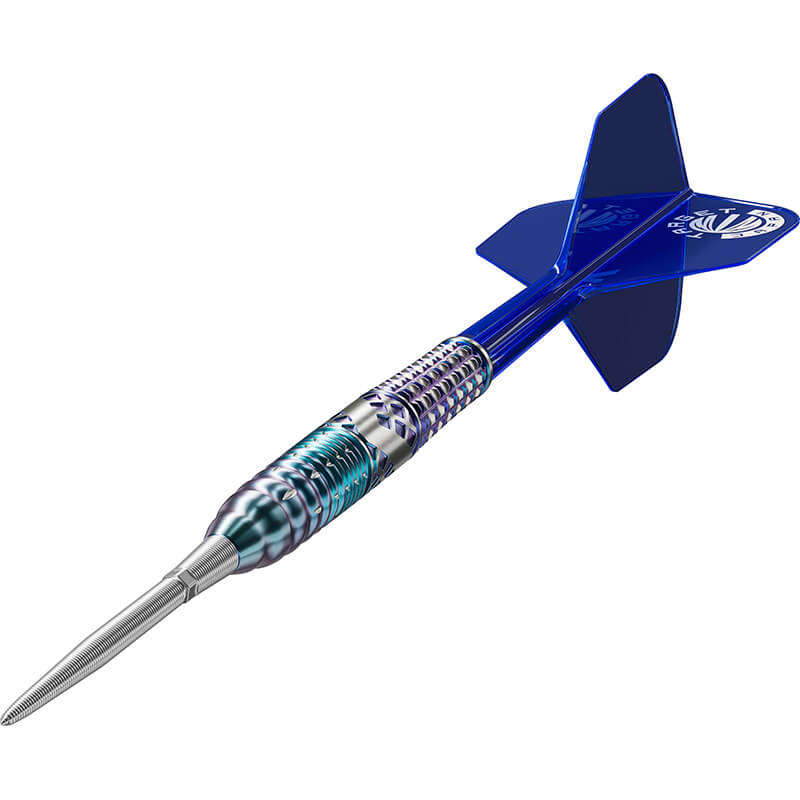 ターゲット CHARIS G5 カリス5 スイスポイント スティール22g キャシー