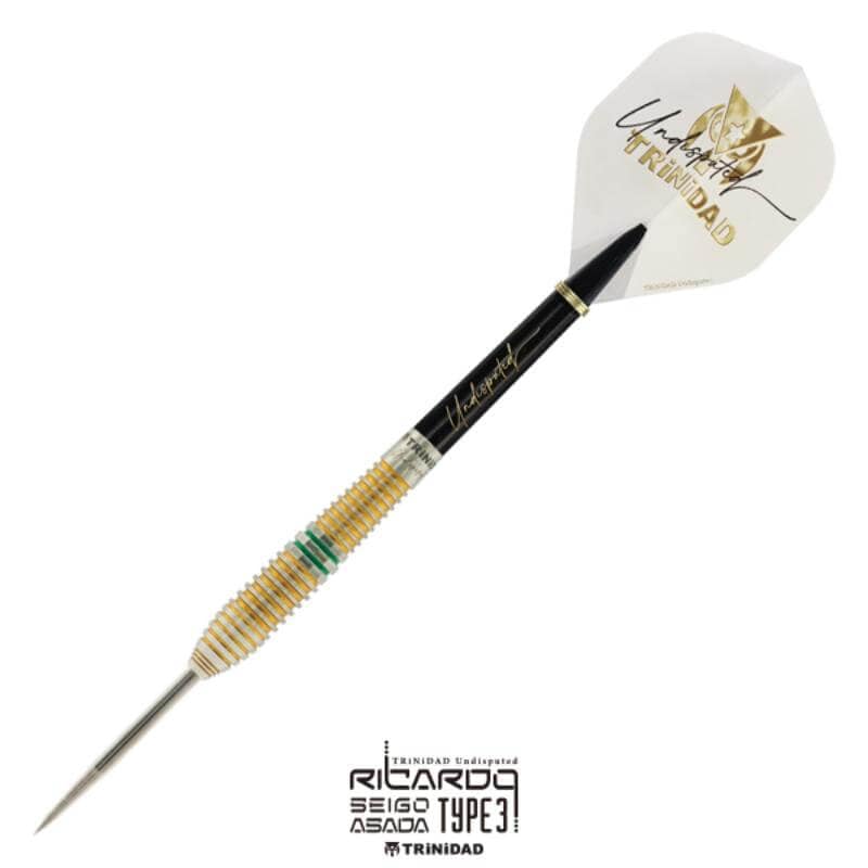 トリニダード RICARDO3 リカルド3 スティール22g 浅田斉吾選手 ハード