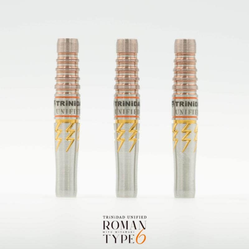 トリニダード Roman Type6 ローマン6 2BA20.5g 宮脇実由選手 ダーツ バレル