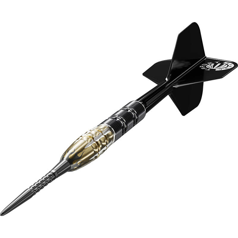 ターゲット PYRO G11 パイロ11 スイスポイント スティール22g 星野光正