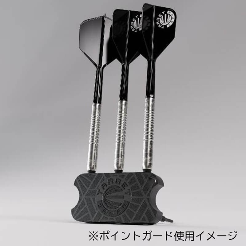 ターゲット PYRO G11 パイロ11 スイスポイント スティール24g 星野光正