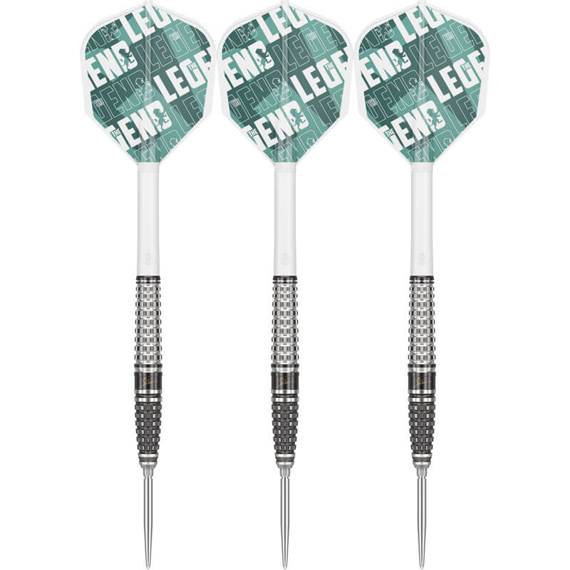 ターゲット ザ レジェンドG7 スイスポイント スティール20g ポールリム