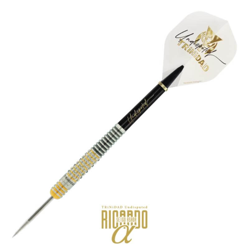 トリニダード RICARDO α リカルドアルファ スティール22g 浅田斉吾選手
