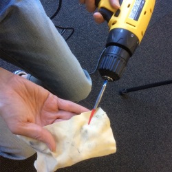 ڥ硼ɥ饤Сۥɥڡ Ļ