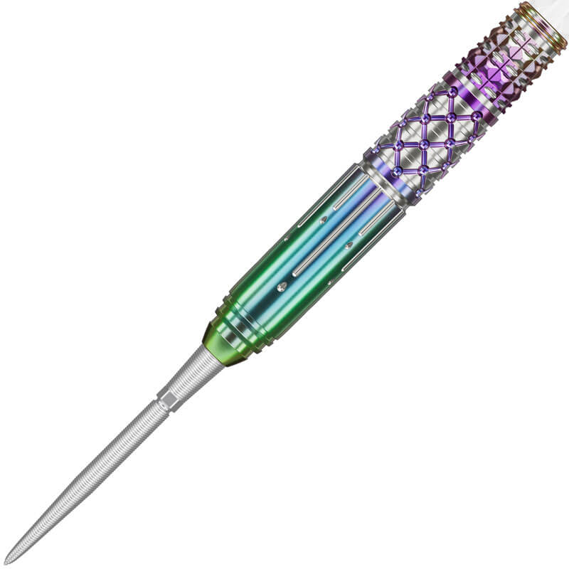 ターゲット CHARIS G4 カリス4 スイスポイント スティール21g キャシー